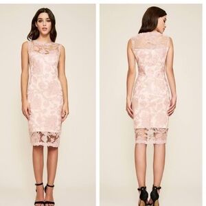TADASHI SHOJI Embroidered Lace Sheath Dress